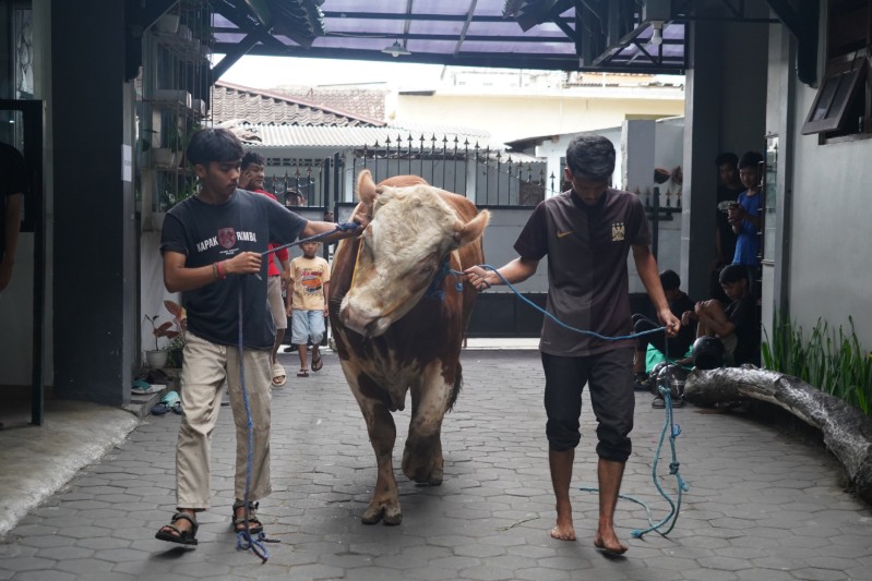 Qurban PPM JOGJA 2024